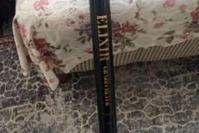 Manyometre Yer Altı Görüntüleme