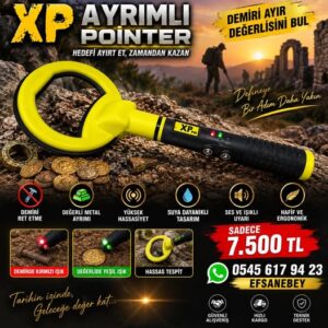 max x1 ayrımlı pointer